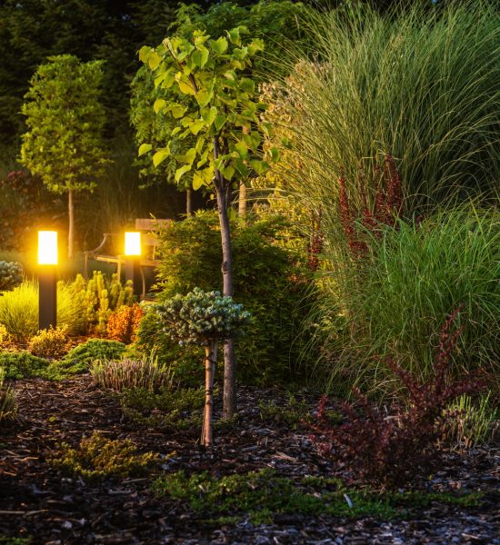 Backyard Garden Illuminated by LED Outdoor Garden Lighting