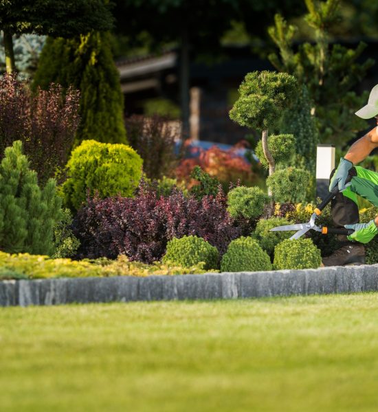 Landscape Garden Maintenance Professional at Work